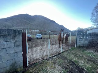 Finca