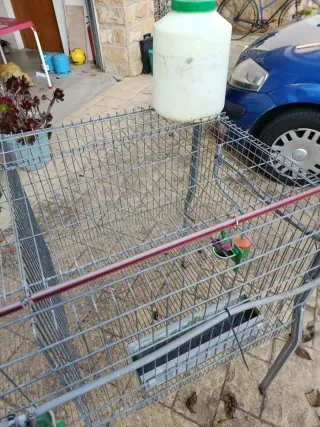 Jaula 3 departamentos gallinas/conejos