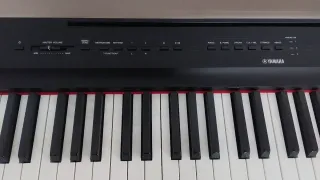 Teclado Yamaha P-125 + soporte + funda