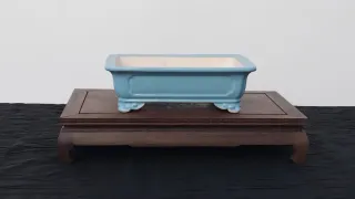 Maceta YIXING para bonsái