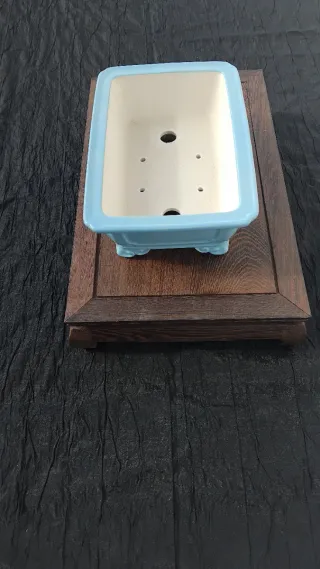 Maceta YIXING para bonsái