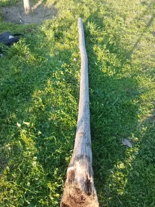 Pitas para didgeridoo