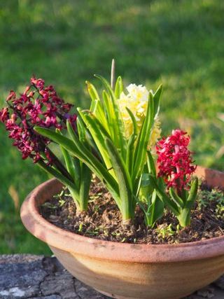 Konica Zoom AR UC 45-100 f3,5 RARISSIMO