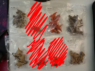 Figuras Dinosaurios Kinder Natoons