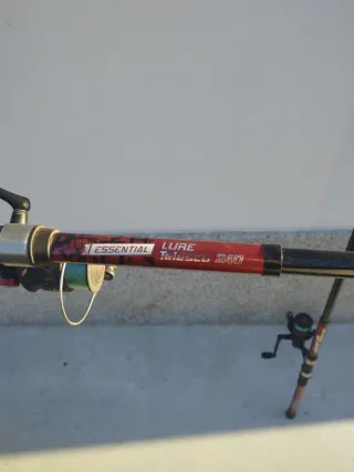 2 Canne da Pesca con Mulinelli