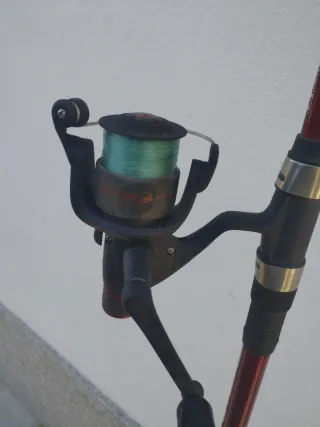 2 Canne da Pesca con Mulinelli