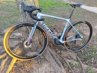 Giant TCR Pro1 2019