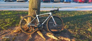 Giant TCR Pro1 2019