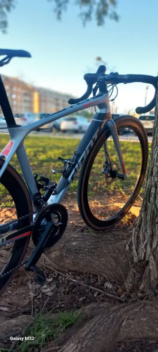 Giant TCR Pro1 2019