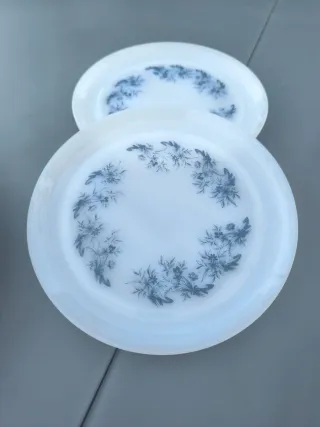 3 Platos Llanos Arcopal Vintage Florales