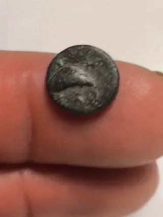 Moneda Griega Aeolis Gryneion Antigua