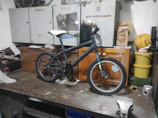 Bicicleta infantil paseo