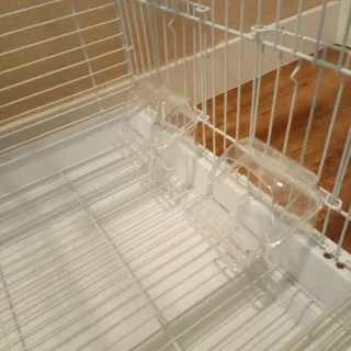 Gabbia bianca per uccelli