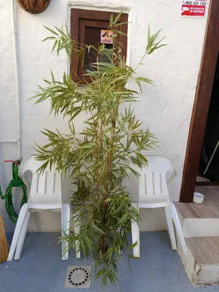 Bambú artificial decorativo interior o exterior