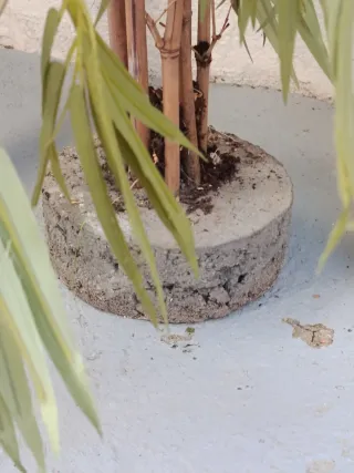 Bambú artificial decorativo interior o exterior