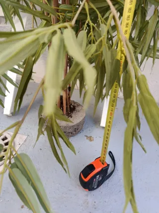 Bambú artificial decorativo interior o exterior