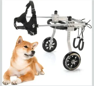 Silla de ruedas para perro