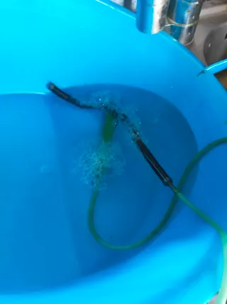 Tetra Ossigenatore Acquario