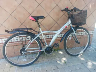 Bicicleta de paseo 26 pulgadas