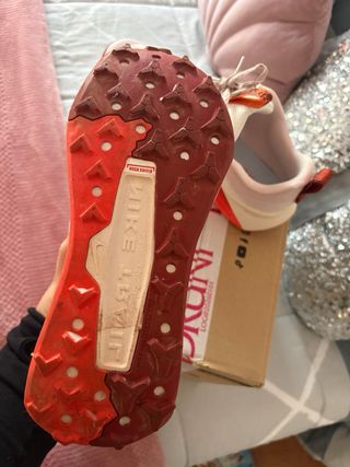 Nike Wildhorse 10 Zapatillas Trail Running Mujer