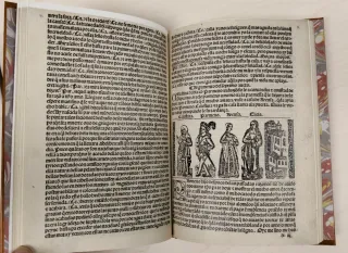 Libro antiguo de colección.La Celestina