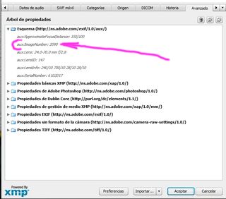 Nikon D610 + Objetivo Nikkor 24-70mm