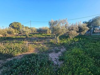 Casa rural en venta en Fuente Alamo