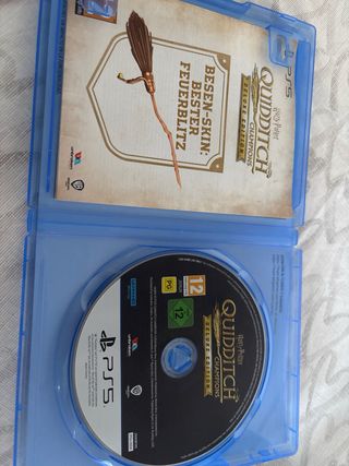 Harry Potter Campeones de Quidditch PS5