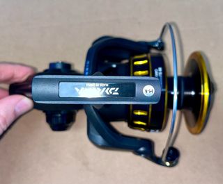 Carrete Daiwa BG 8000