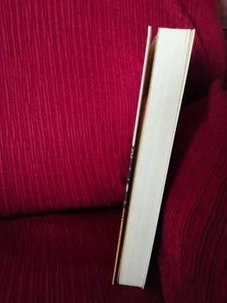 Mauricio o las elecciones primarias.