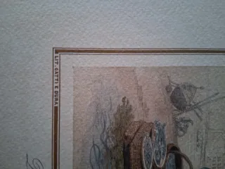 Libro Le Donne del Golfo di Napoli