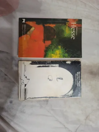 Pack 2 novelas de Hermann Hesse