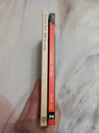 Pack 2 novelas de Hermann Hesse