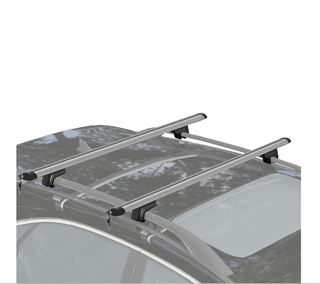 Barras de Techo Universales