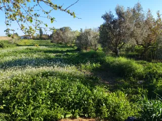 Se vende casa con terreno cerca Dolores