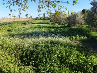 Se vende casa con terreno cerca Dolores