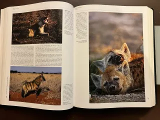 Handbook of Mammals of the World, Vol. 1: Carni...