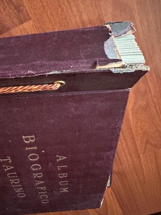 Álbum Biográfico Taurino 1945