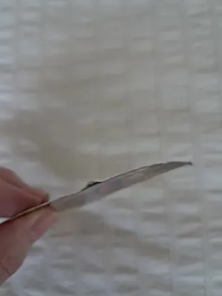 MITICOS INVENCIBLE FC BARCELONA 2024-25 PANINI