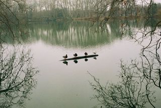 Rollei 35 + Filtro Kenlock 1a