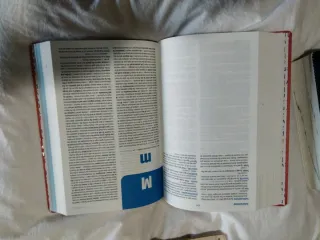 Diccionari Caramull Avançat. Valencià