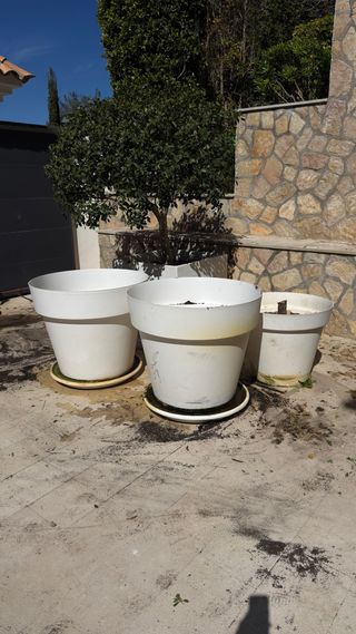 Macetas grandes blancas plastico