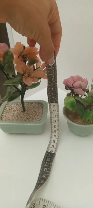 Piante vintage in vetro