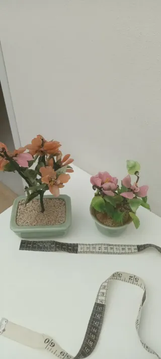 Piante vintage in vetro