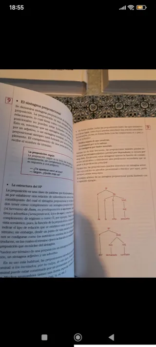 Colección diccionarios españoles