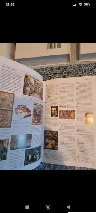 Colección diccionarios españoles