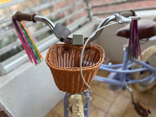 Bici niña 14 pulgadas con ruedines