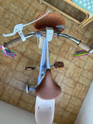 Bici niña 14 pulgadas con ruedines