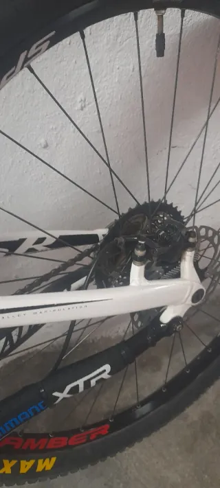 SPECIALIZED CAMBER CARBONO