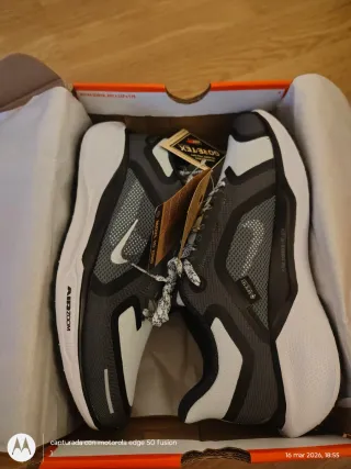 Nike Pegasus 41 GTX Talla 43